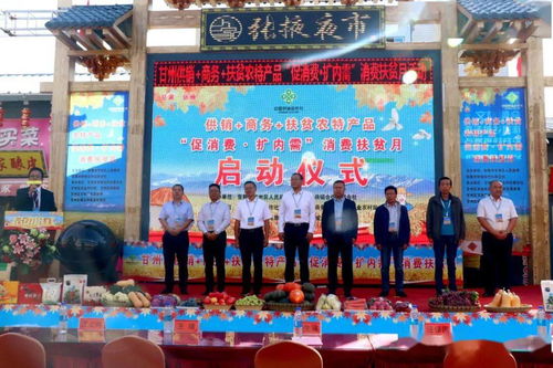 甘州區(qū)多措并舉促消費擴(kuò)內(nèi)需，消費扶貧月活動助力鄉(xiāng)村振興