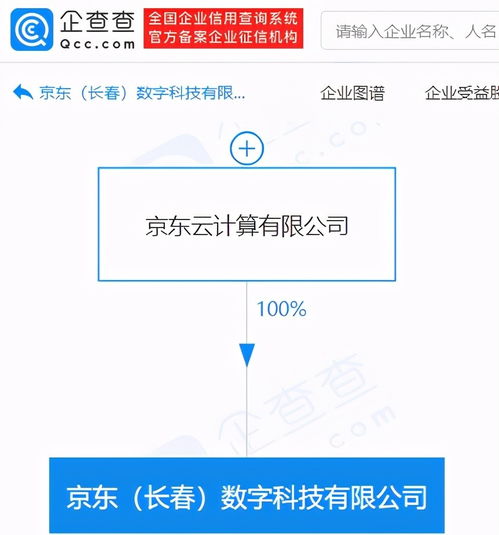 基礎(chǔ)軟件服務(wù) 數(shù)字化時代的基石與創(chuàng)新引擎